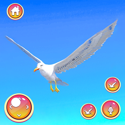 دانلود Seagull Family: Offline Games