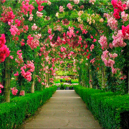 دانلود Garden Wallpapers