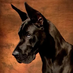 دانلود Great Dane Dog Simulator 3D