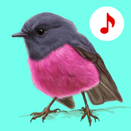 دانلود Bird Songs: Ringtones