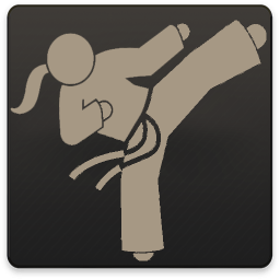 دانلود راهنمای یادگیری ورزش کاراته