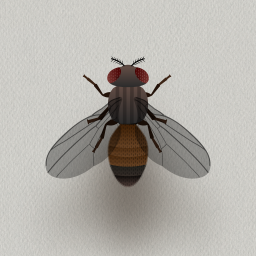 دانلود CAT ALONE - Cat Toy