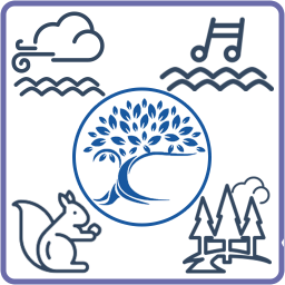 دانلود ترکیب صدای آرامش