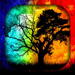 دانلود Day & Night Wallpaper Live HD