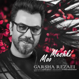 دانلود آهنگ های گرشا رضایی غیر رسمی