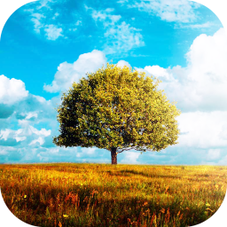 دانلود Awesome-Land 2 live wallpaper