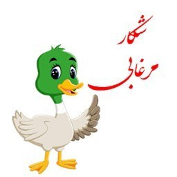 دانلود شکار مرغابی