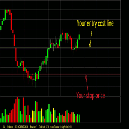 دانلود Professional Trader Training