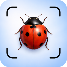 دانلود Insect Identifier App