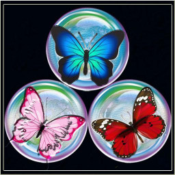 دانلود Fly Bubble Shooter