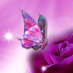 دانلود Butterfly Live Wallpaper