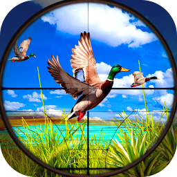 دانلود Wild Duck Hunting