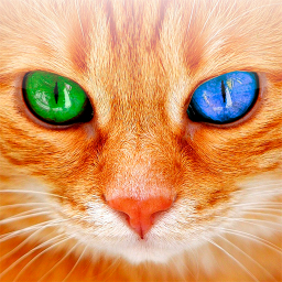 دانلود Translator for Cats Prank