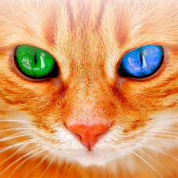 دانلود Translator for Cats Prank