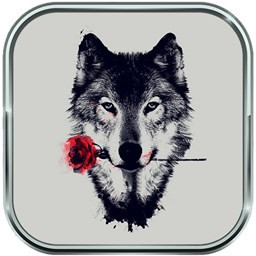 دانلود تصاویر زمینه گرگ