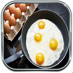 دانلود آموزش انواع غذا با تخم مرغ