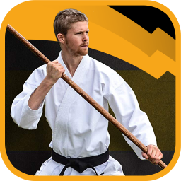 دانلود آموزش تکنیک های مبارزه با چوب