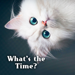 دانلود Cute Theme What's the Time?
