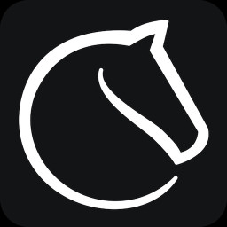دانلود Lichess