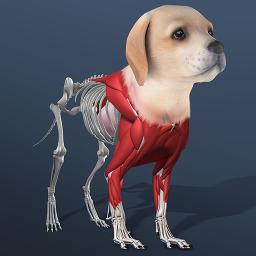 دانلود Idle Pet - Create cell by cell