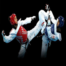 دانلود آموزش حرکات مختلف تکواندو