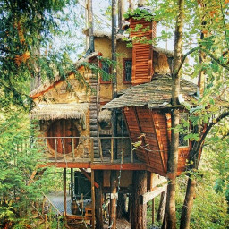 دانلود Treehouse