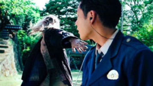 سریال گانیبال - فصل ۱ - قسمت ۲ - حمله کنید