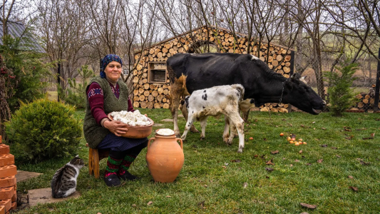 سریال زندگی روستایی - آشپزی در طبیعت - فصل ۱ - کره ارگانیک خانگی و پنیر کلبه از شیر تازه