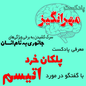  پادکست مهرانگیز - فصل ۱ - معرفی پادکست پلکان خرد با گفتگو در مورد اتیسم