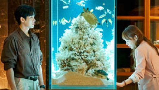 سریال در نوزدهمین زندگی ام می بینمت - فصل ۱ - قسمت ۱ - شادی، غم، تاسف و لذت