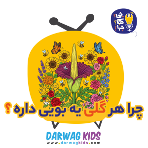 پادکست چی؟کجا؟چرا؟ - فصل ۱ - چرا هر گلی یه بویی داره؟