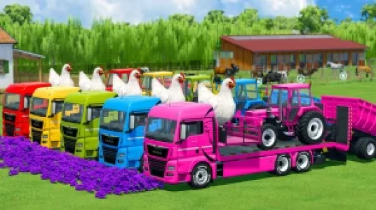  استریم فورزا هورایزن ۲ - علی بوشهری - فصل ۲ - قسمت ۱۲