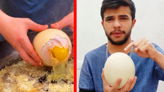 سریال دانستنی‌ها با ابوالفضل ایکس مستر - فصل ۱ - تخم مرغ متفاوت