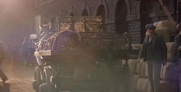 سریال همه موجودات ریز و درشت - فصل ۱ - قسمت ۱