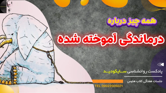 سریال رازهای شخصیت و خودشناسی - پادکست روانشناسی سایکودید - فصل ۱ - همه چیز درباره درماندگی آموخته شده