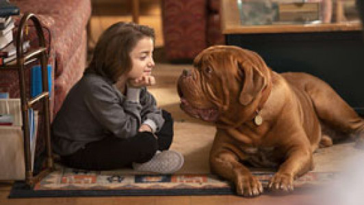 سریال ترنر و هوچ - فصل ۱ - قسمت ۱۱