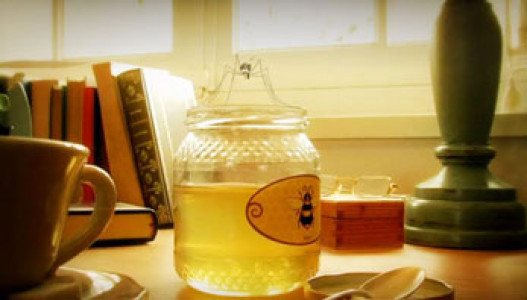 انیمیشن زندگی حشرات - فصل ۱ - قسمت ۶۵