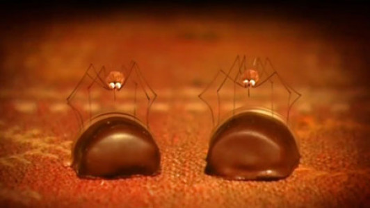 انیمیشن زندگی حشرات - فصل ۱ - قسمت ۷۶