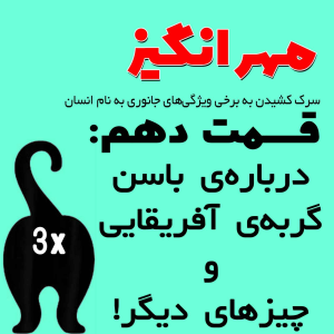  پادکست مهرانگیز - فصل ۱ - اپیزود دهم: درباره باسن گربه آفریقایی و چیزهای دیگر