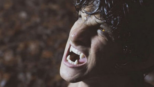 سریال گرگ نوجوان - فصل ۱ - قسمت ۱ - ماه گرگ