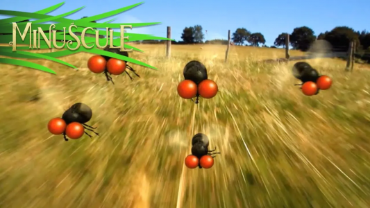 انیمیشن زندگی حشرات کوچولو - فصل ۱ - قسمت ۳۱