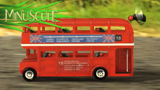 انیمیشن زندگی حشرات کوچولو - فصل ۱ - قسمت ۲۹