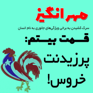  پادکست مهرانگیز - فصل ۱ - اپیزود بیستم: پرزیدنت خروس!