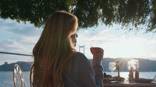 سریال عشق ۱۰۱ - فصل ۱ - قسمت ۶ - سرگرمی