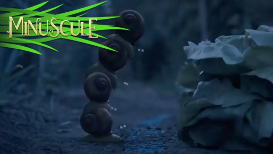 انیمیشن زندگی حشرات کوچولو - فصل ۱ - قسمت ۸