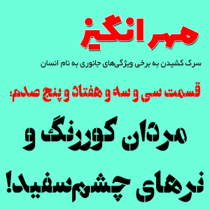  پادکست مهرانگیز - فصل ۱ - اپیزود سی و سه و هفتاد و پنج صدم: مردان کوررنگ و نرهای چشم‌سفید!