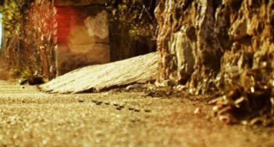 انیمیشن زندگی حشرات - فصل ۱ - قسمت ۲۸