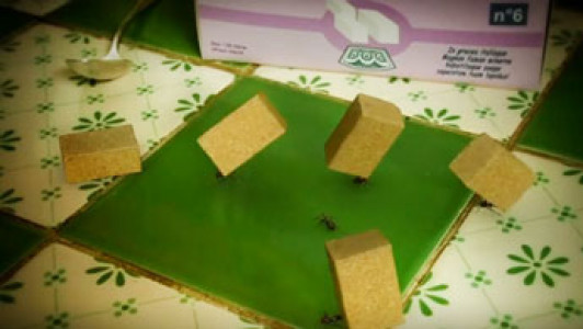 انیمیشن زندگی حشرات - فصل ۱ - قسمت ۲۴