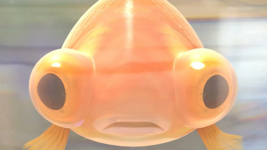 انیمیشن کنیمالز - فصل ۱ - قسمت ۱۷