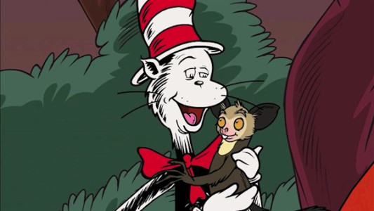 انیمیشن گربه کلاه به سر - فصل ۱ - قسمت ۵۰ - آی آی!